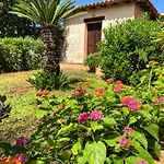 Apartamento Seagarden Vista Mare Con Giardino Privato *
