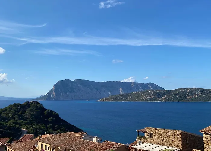 Lejlighed Seagarden Vista Mare Con Giardino Privato Capo Coda Cavallo