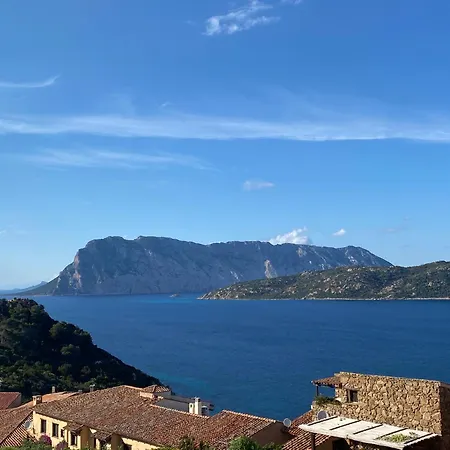 Apartment Seagarden Vista Mare Con Giardino Privato Capo Coda Cavallo