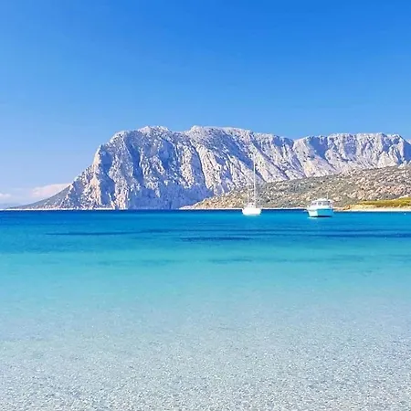 Seagarden Vista Mare Con Giardino Privato *